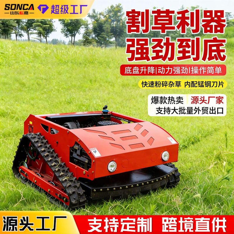 Remote-Control Mower 9HP image 3