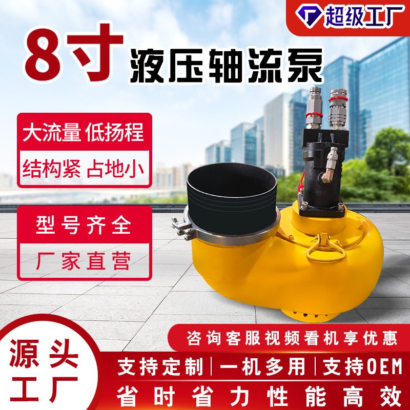 Hydraulic Axial Flow Pump image 1