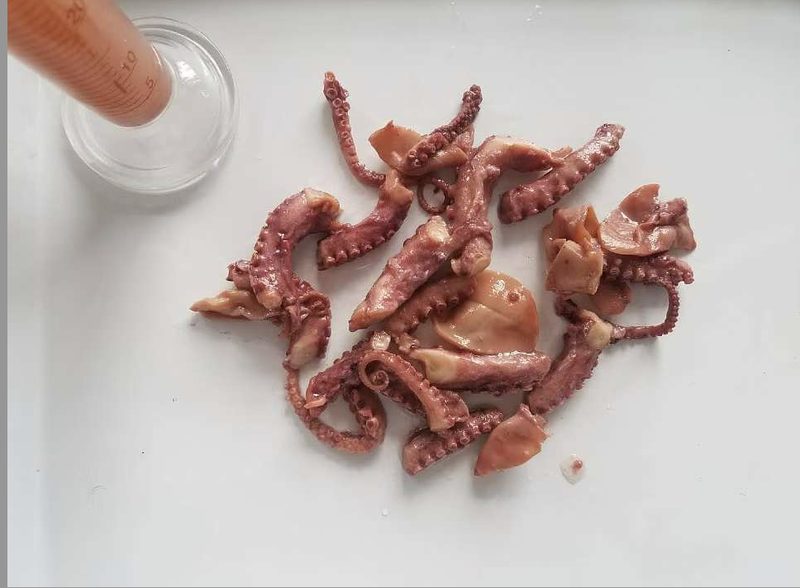 cannned octopus image 1